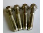 Leg Bolts - silver - used