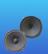 Speaker & Speaker-Systems