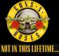 Guns N\' Roses - Not in this Lifetime - Limited Edition - Flipper