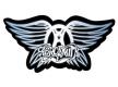 Aerosmith - Limited Edition Flipper