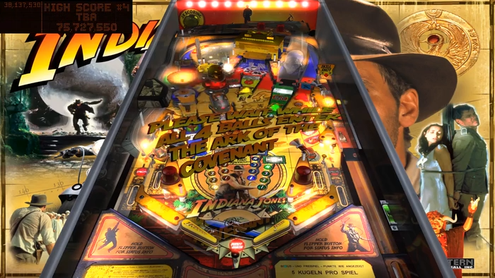Jeu De Cartes Et Instructions - Flipper Stern Indiana Jones 2008 - Neuf, Anglais